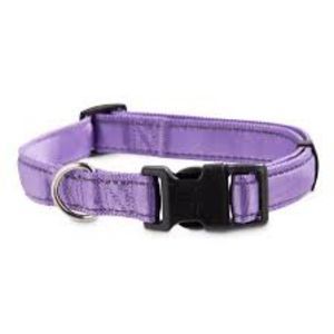 Good 2 Go purple collar 💜  M 14-20 in